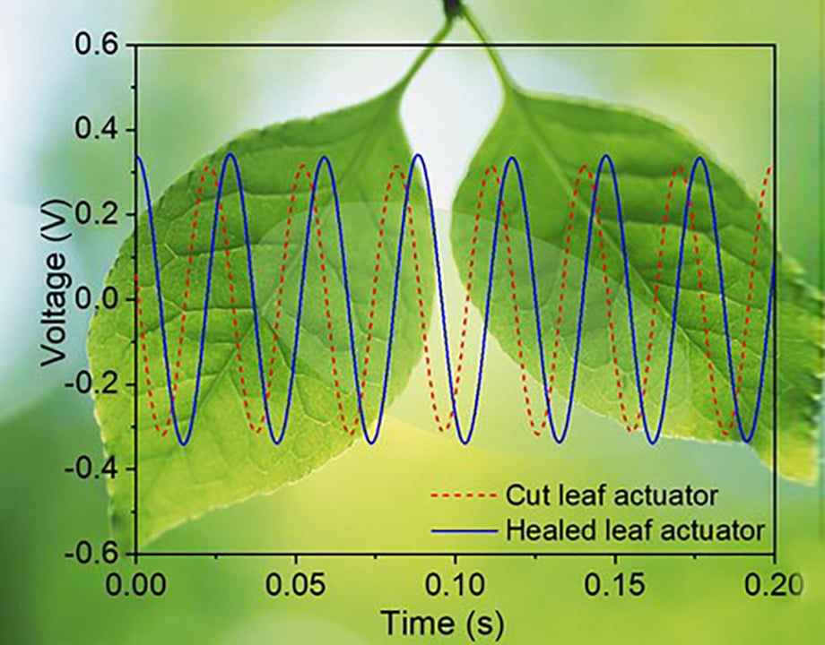 4 Advances in Soft Robotics 01